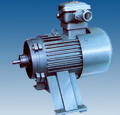 小型防爆電機(jī)的來(lái)歷有哪些