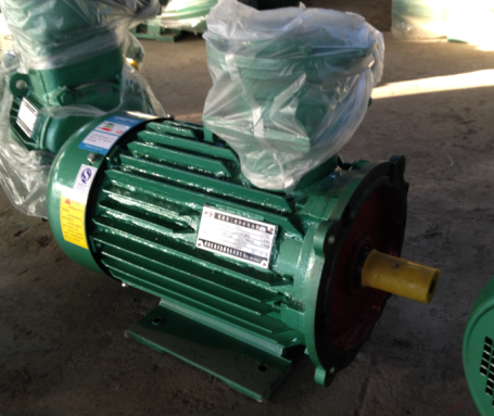 立臥式電機(jī)